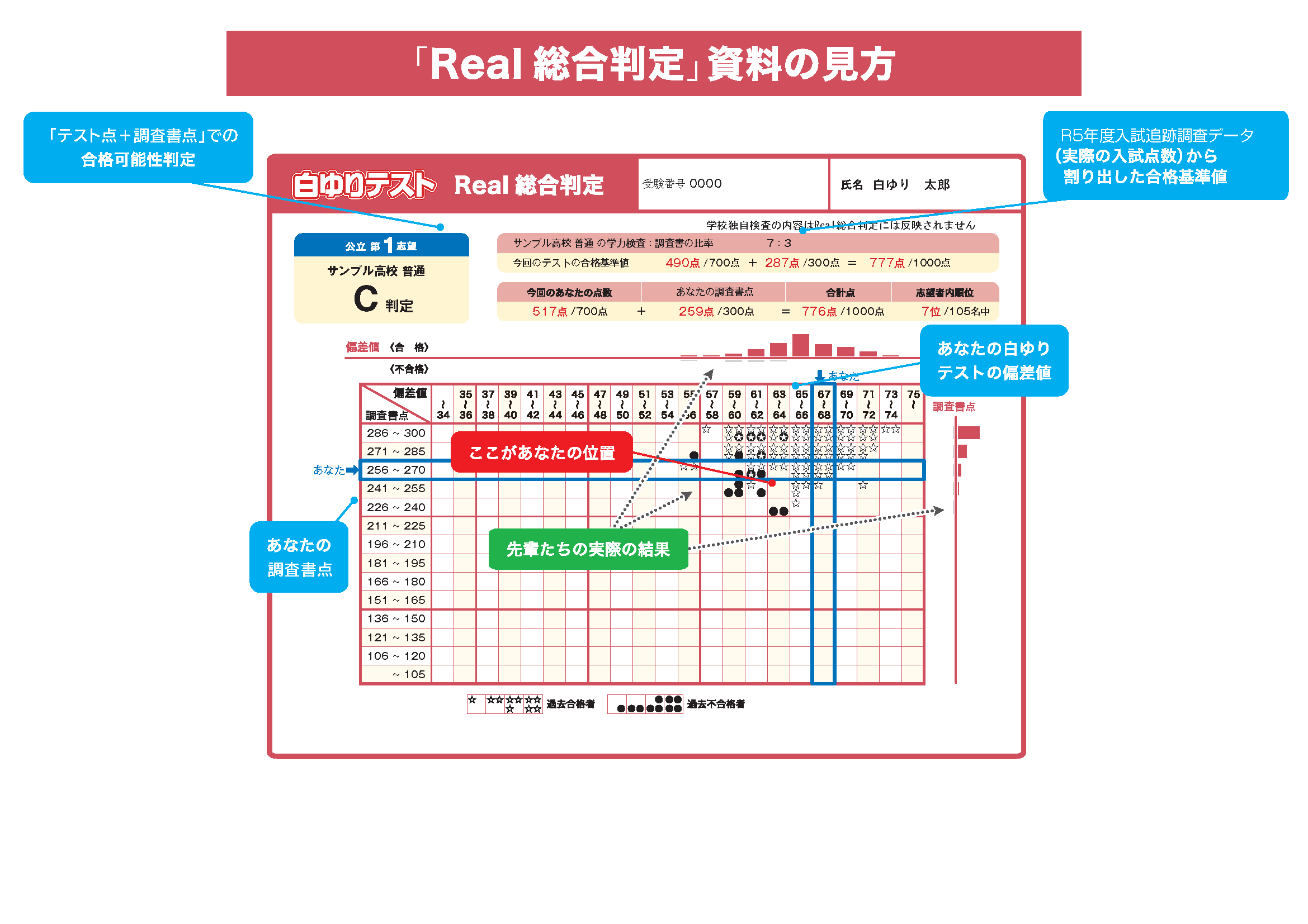 リアル総合判定