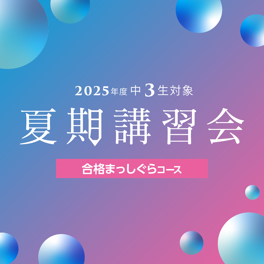 夏期講習会【合格まっしぐらコース】