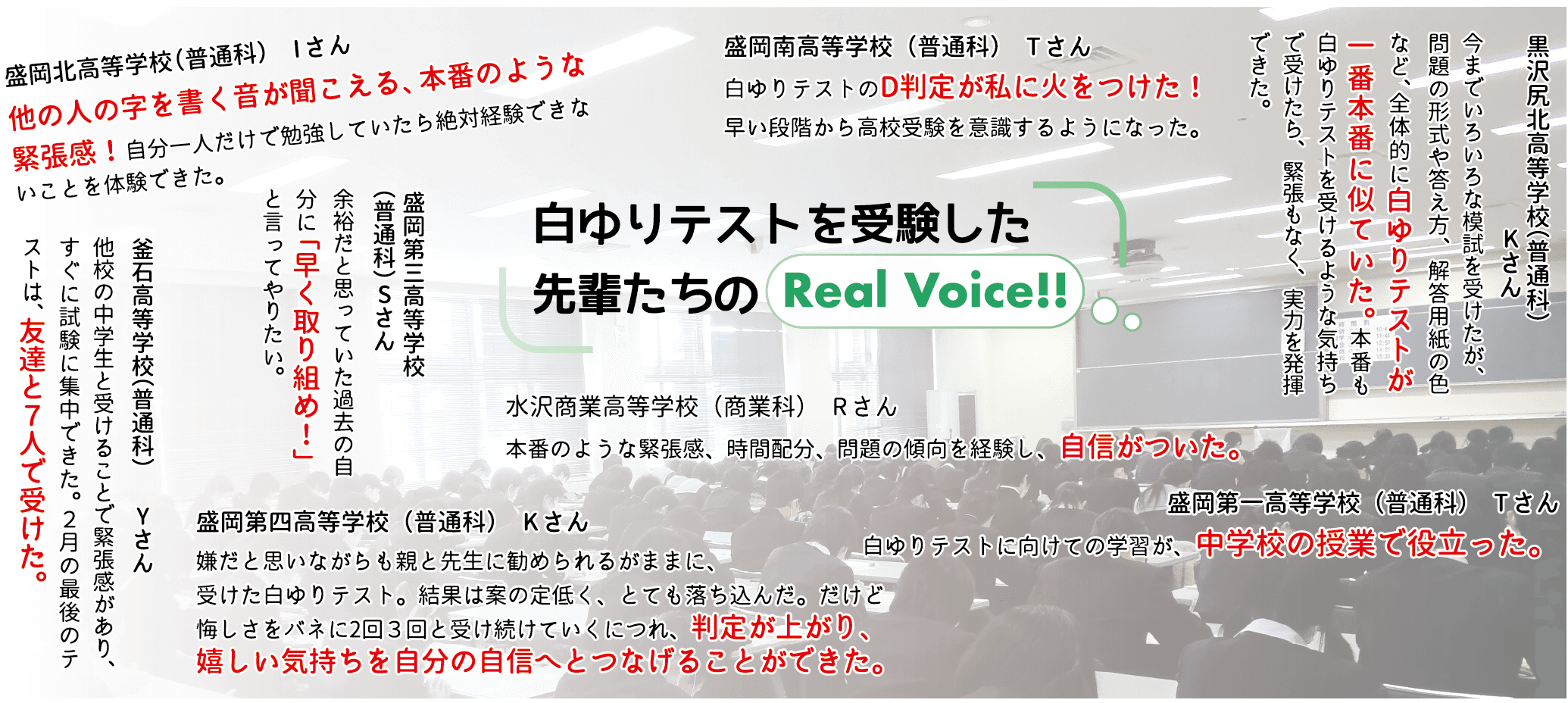 先輩たちの声